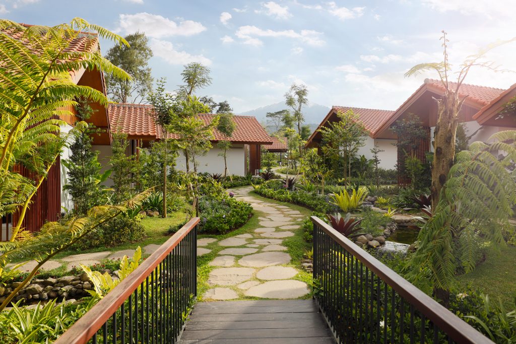 the_village